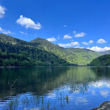 2 à 8 Personnes Style Avec Garage Privé Et Jardin Appartamento *