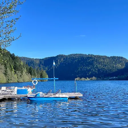 2 à 8 Personnes Style Avec Garage Privé Et Jardin * La Bresse