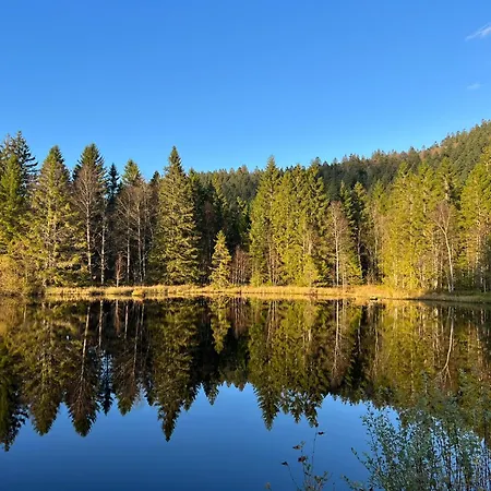 2 à 8 Personnes Style Avec Garage Privé Et Jardin