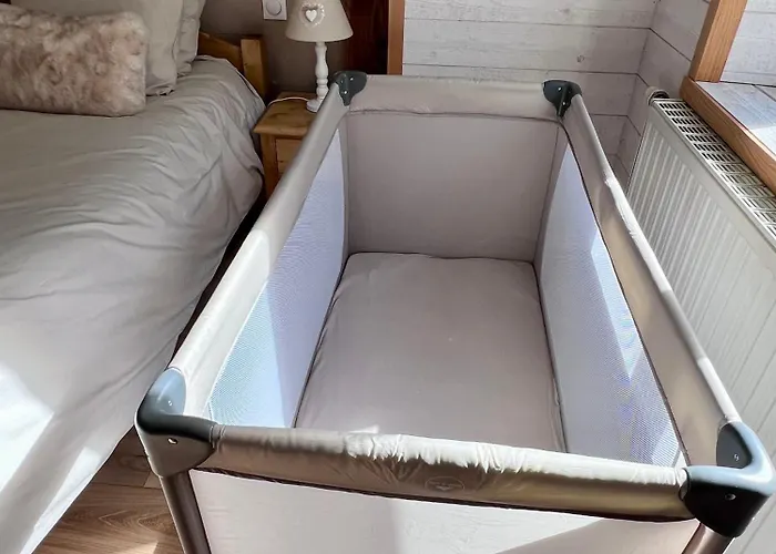 2 A 8 Personnes Style Avec Garage Prive Et Jardin La Bresse