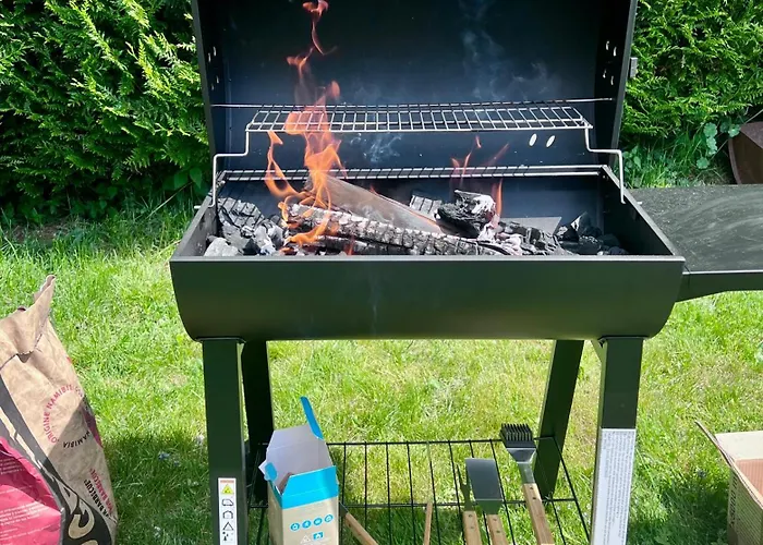 2 A 8 Personnes Style Avec Garage Prive Et Jardin La Bresse