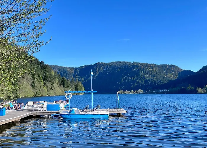 2 A 8 Personnes Style Avec Garage Prive Et Jardin * La Bresse