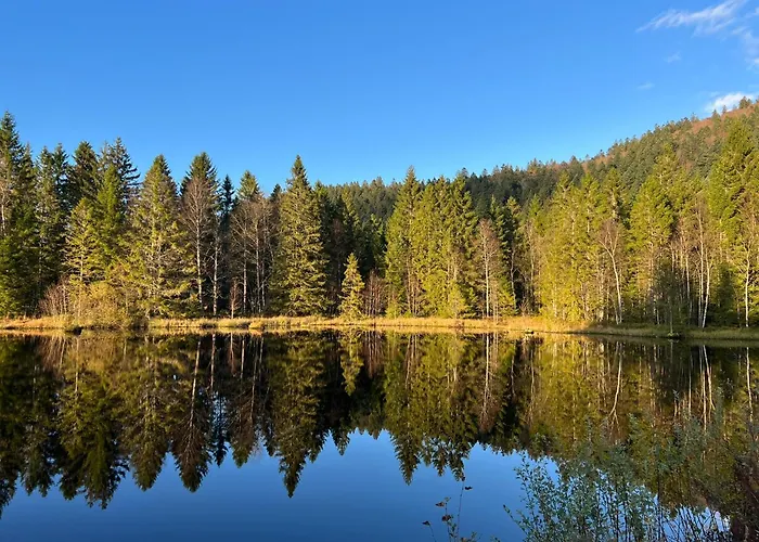 2 A 8 Personnes Style Avec Garage Prive Et Jardin