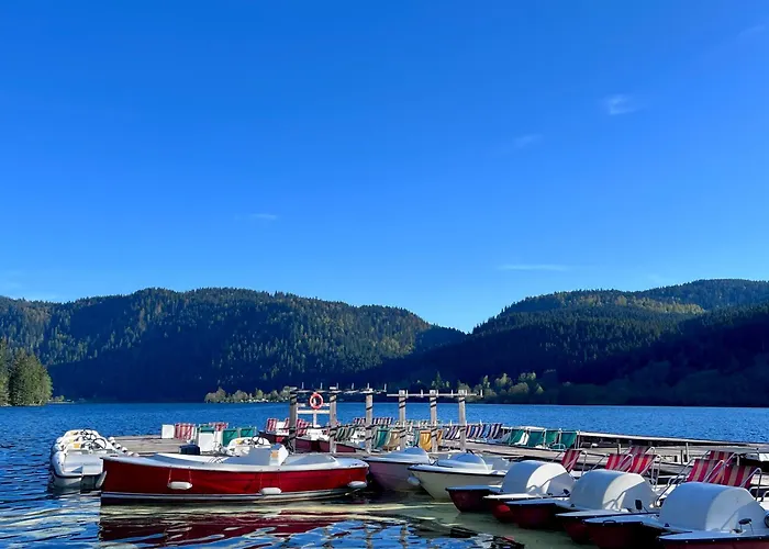 Apartmán 2 A 8 Personnes Style Avec Garage Prive Et Jardin